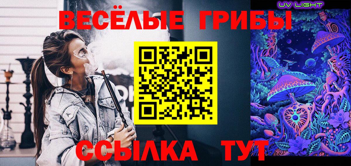 Галлюциногенные грибы Psilocybine cubensis Можга