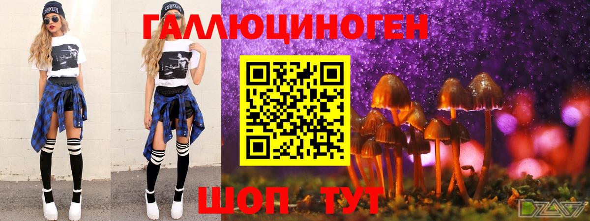 Можга  Псилоцибиновые грибы MAGIC MUSHROOMS  Вход с VPN 